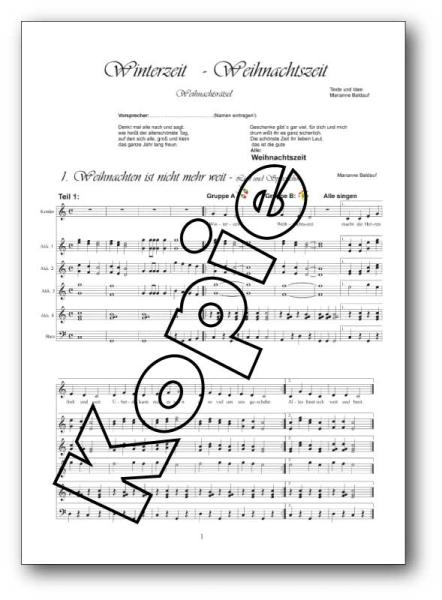 Winterzeit-Weihnachtszeit - Stimmensatz